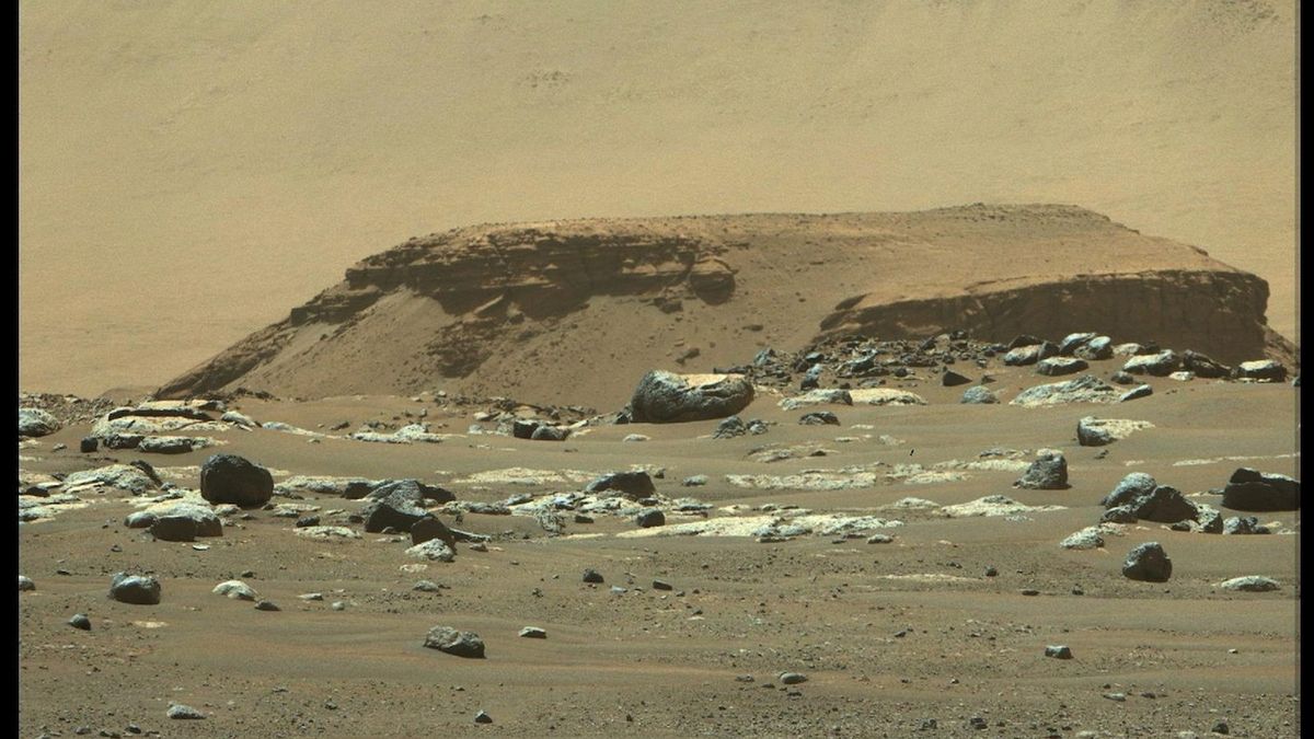 Data z Marsu: Na planetě kdysi mohly být podmínky pro život
